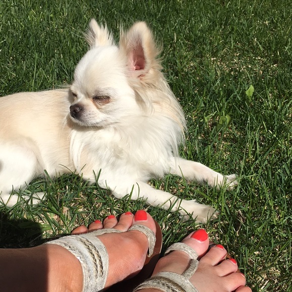 Meet your Posher, Cathi - Picture 1 of 2